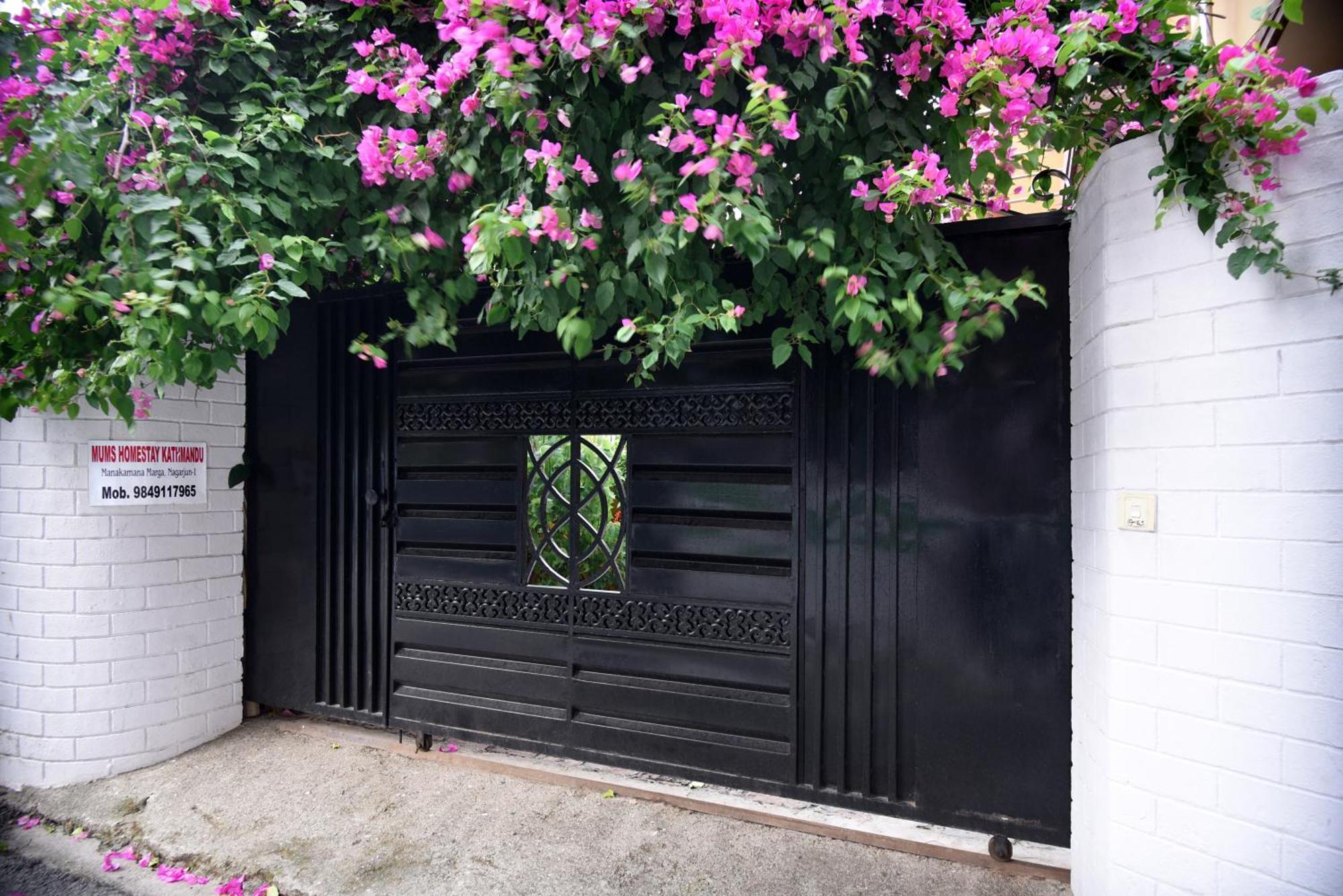 Mums Homestay & Studio Apartments Kathmandu Ngoại thất bức ảnh